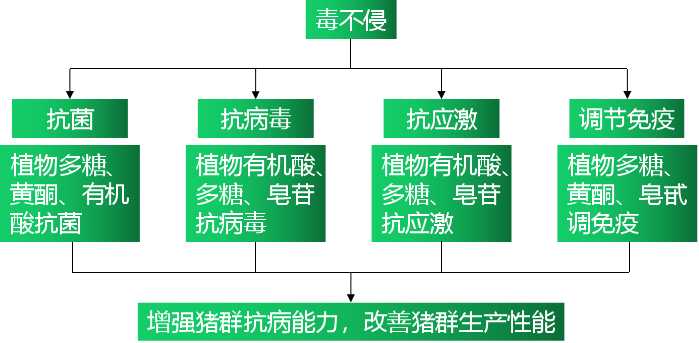 6115c976a08d6
