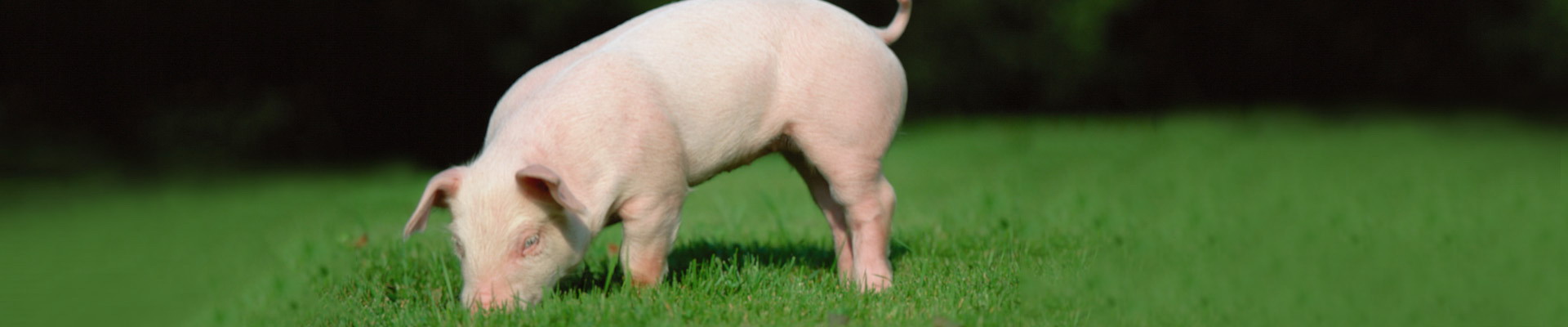 南宫NG·娱乐(中国集团)官方网站