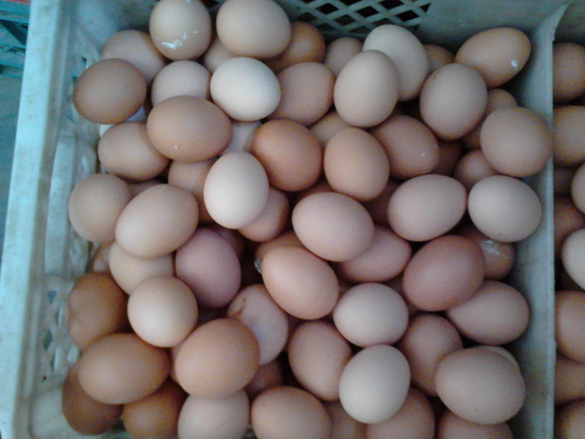 南宫NG·娱乐(中国集团)官方网站