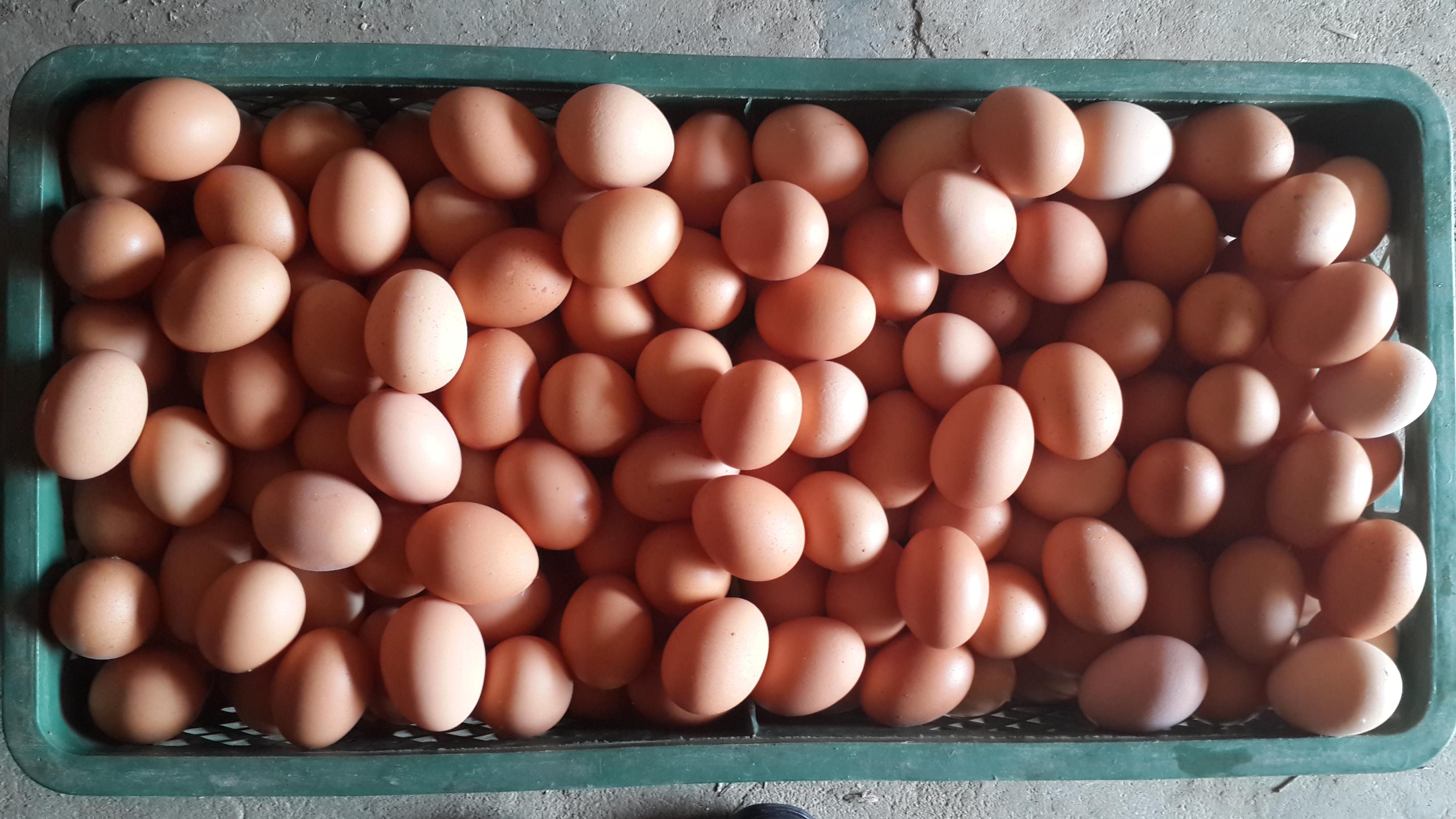 南宫NG·娱乐(中国集团)官方网站