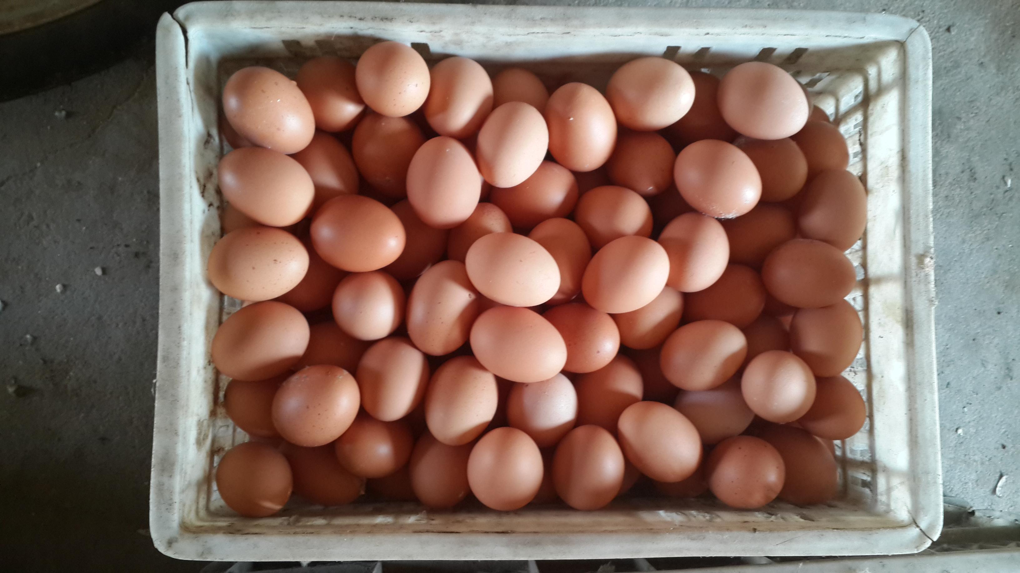 南宫NG·娱乐(中国集团)官方网站