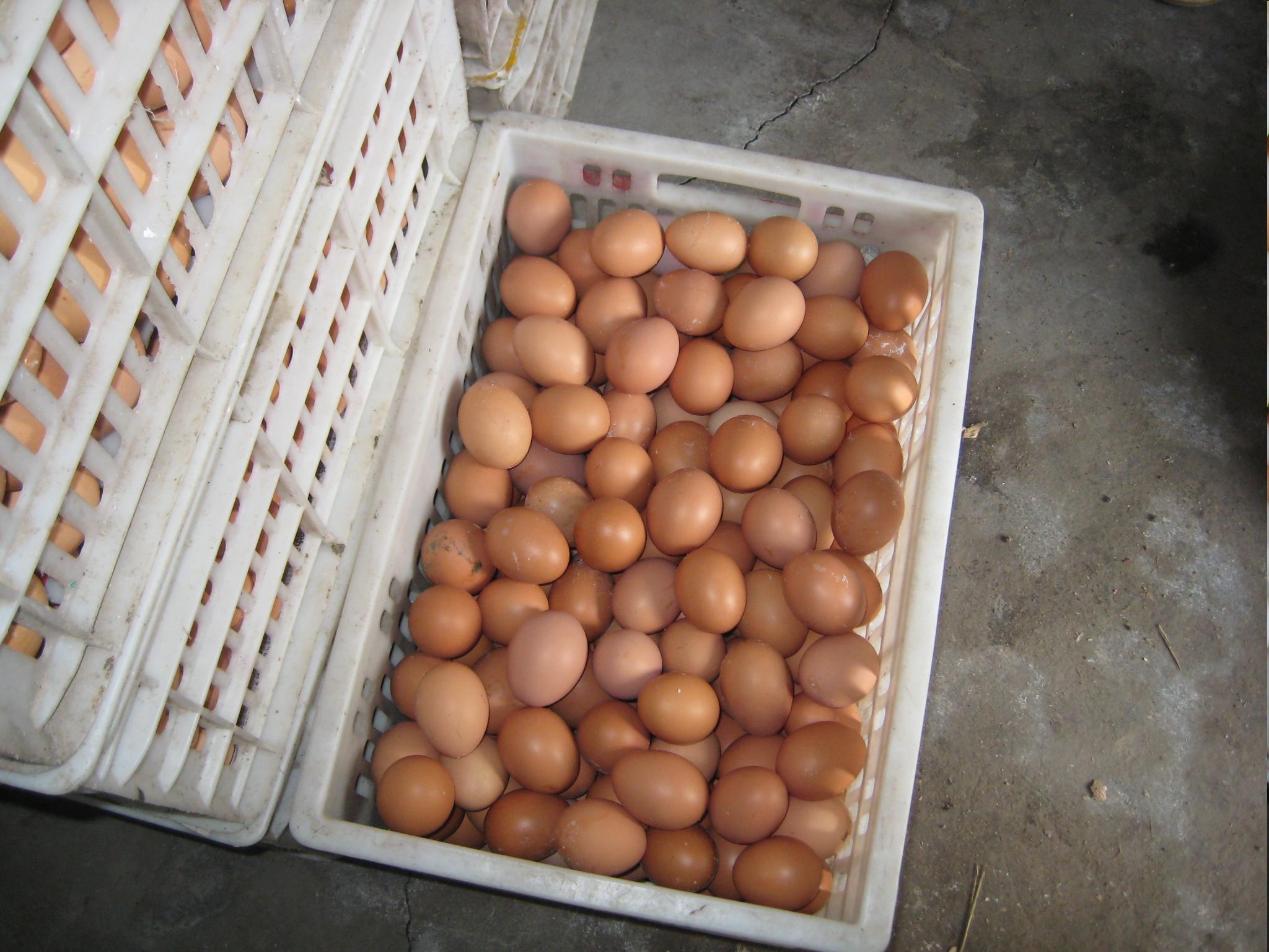 南宫NG·娱乐(中国集团)官方网站