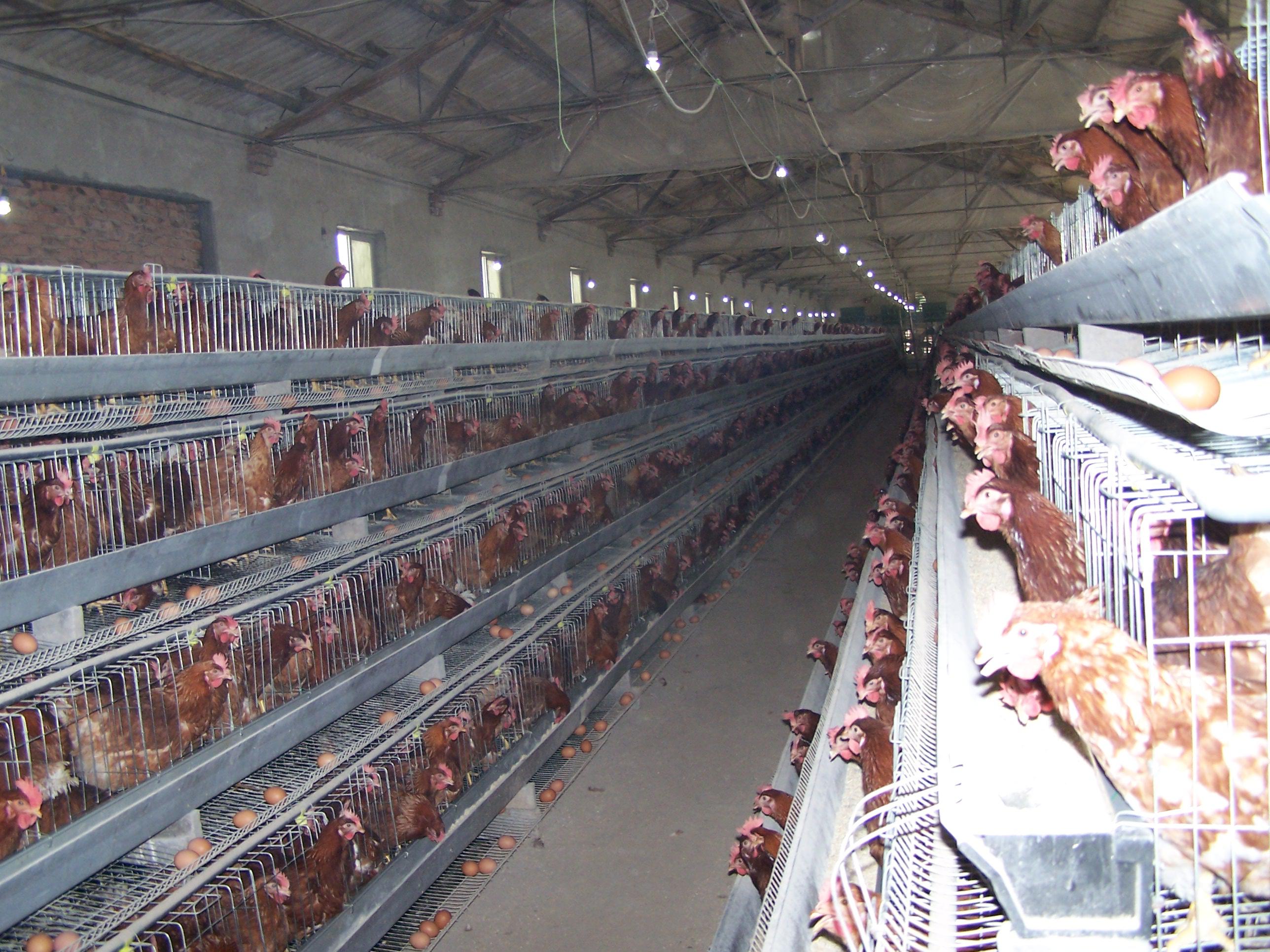 南宫NG·娱乐(中国集团)官方网站