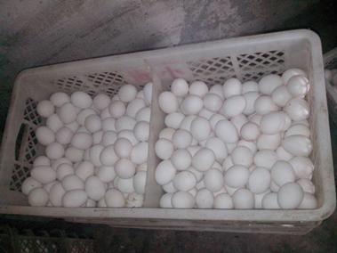 南宫NG·娱乐(中国集团)官方网站