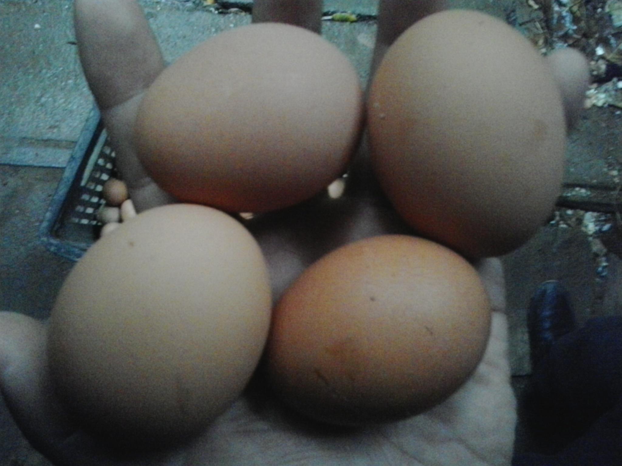 南宫NG·娱乐(中国集团)官方网站