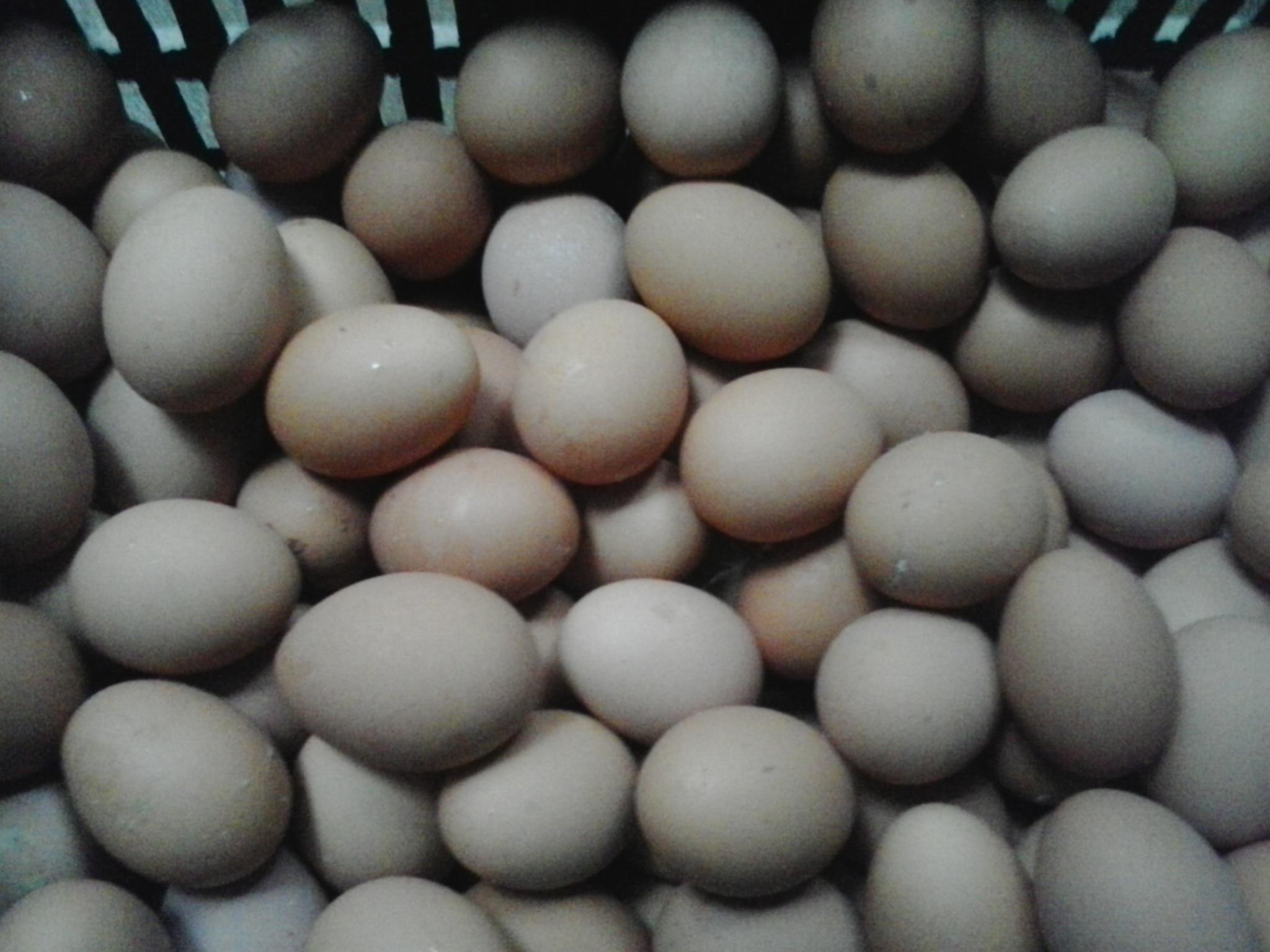 南宫NG·娱乐(中国集团)官方网站