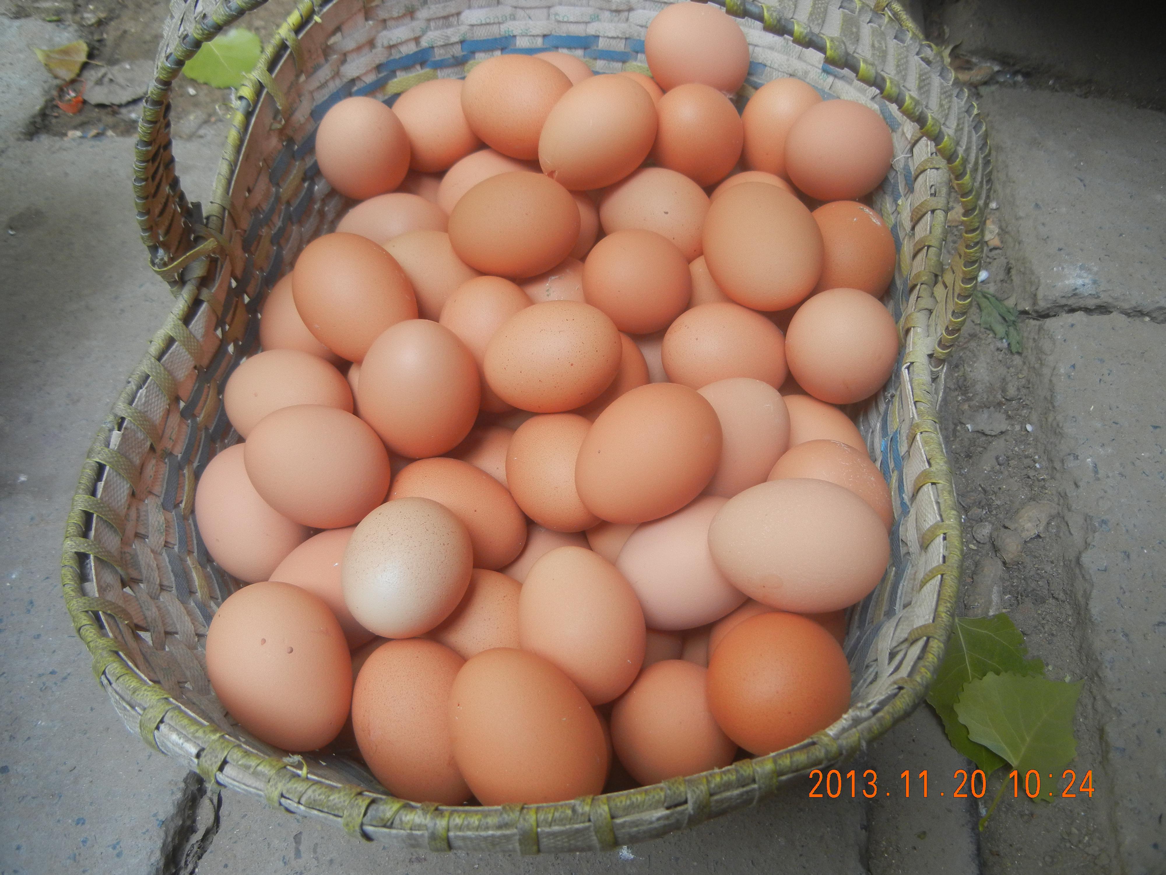 南宫NG·娱乐(中国集团)官方网站