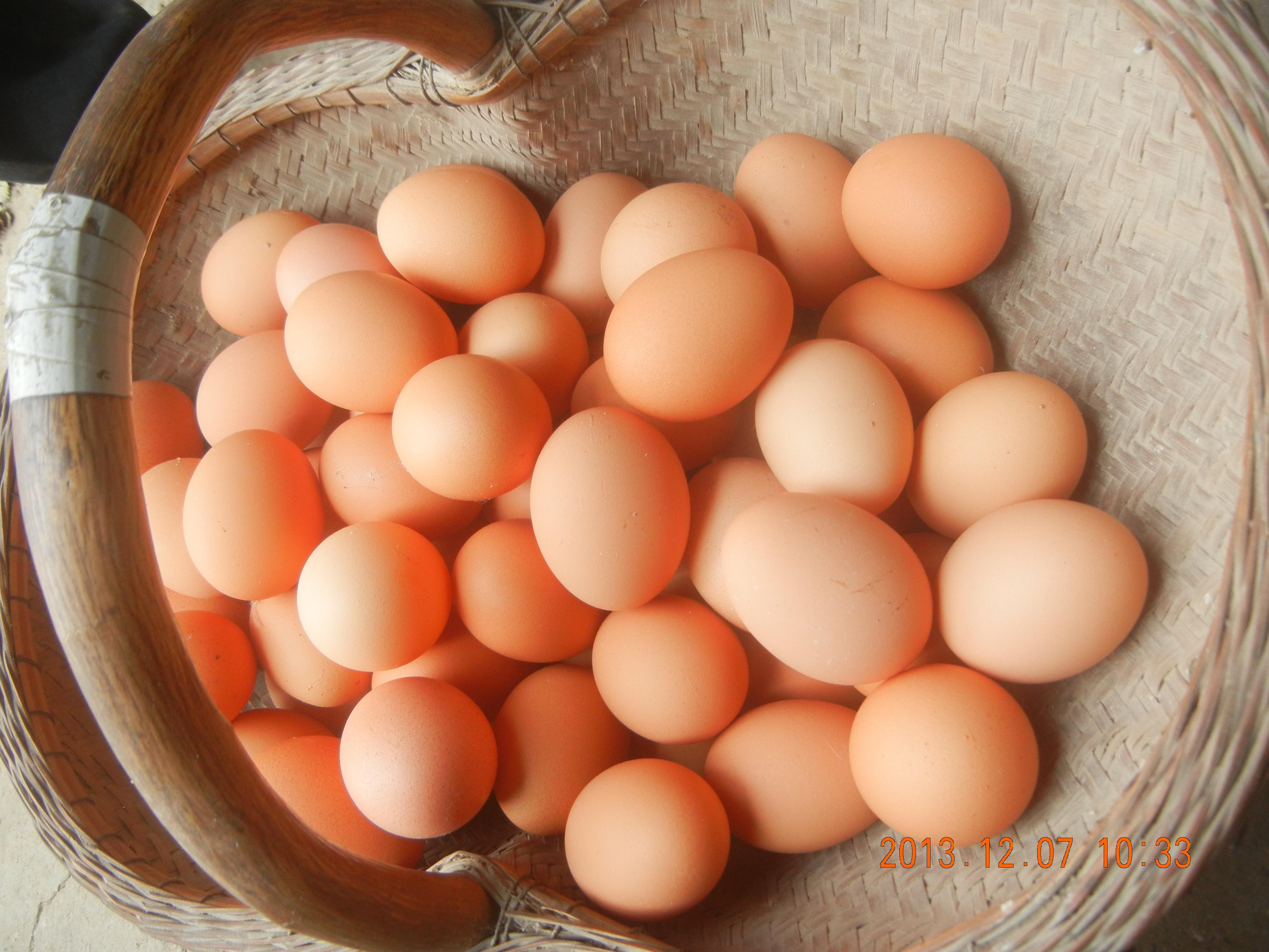 南宫NG·娱乐(中国集团)官方网站