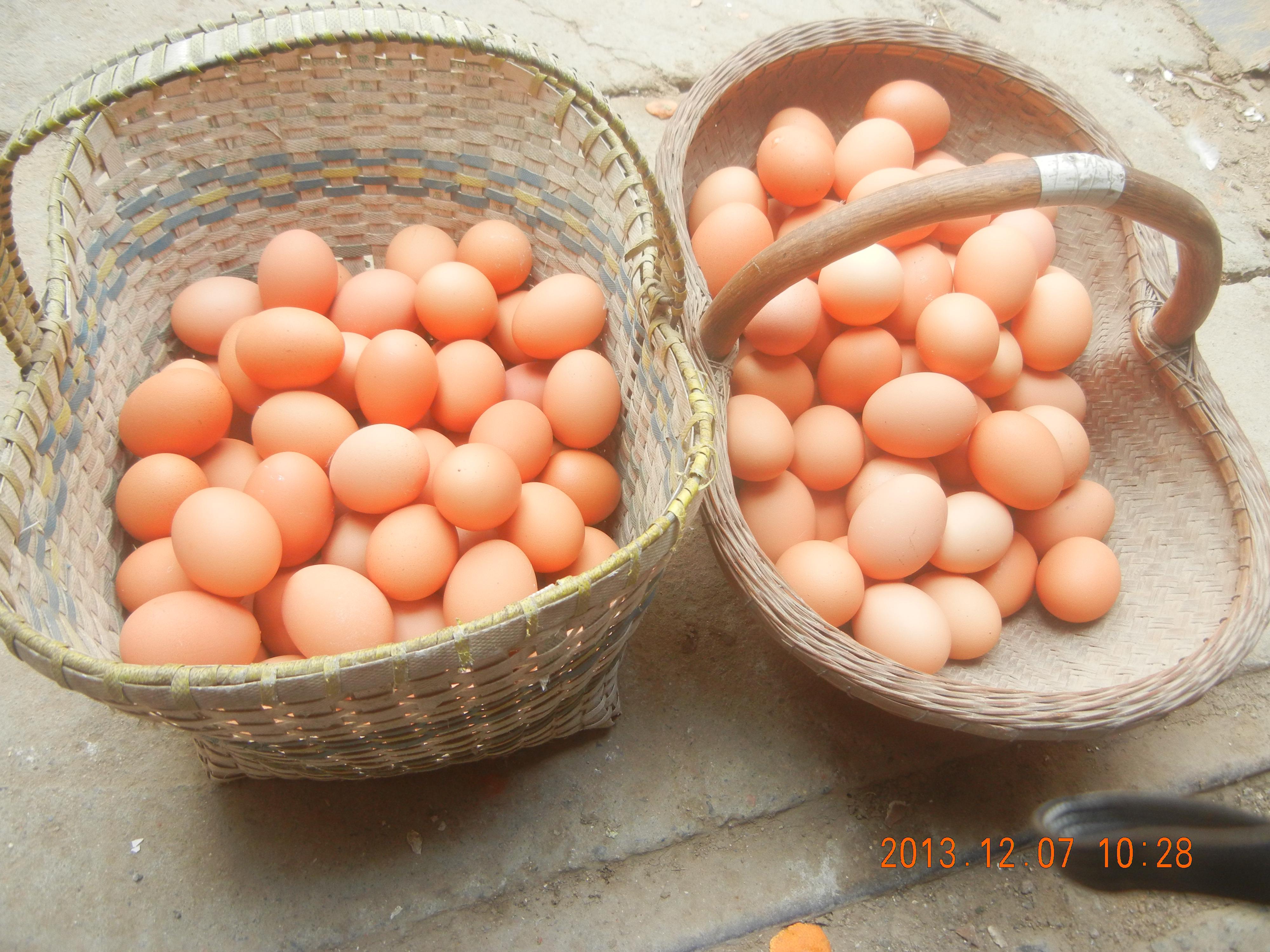 南宫NG·娱乐(中国集团)官方网站