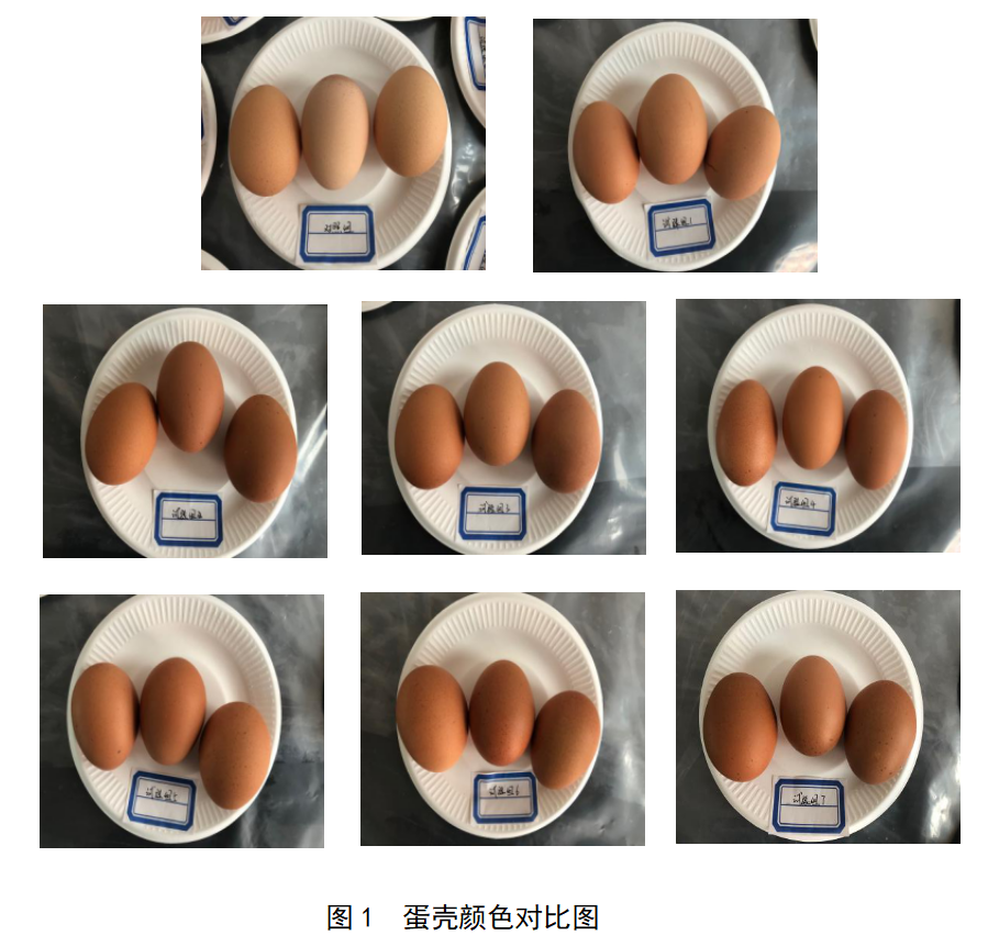 南宫NG·娱乐(中国集团)官方网站