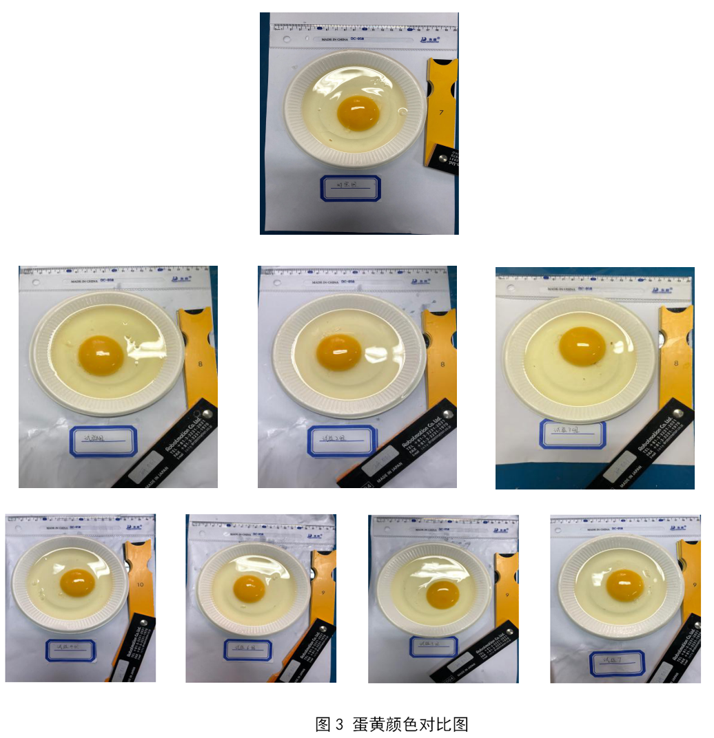 南宫NG·娱乐(中国集团)官方网站